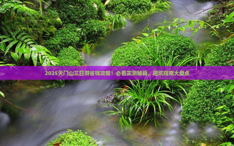 天门到张家界天门山三日游