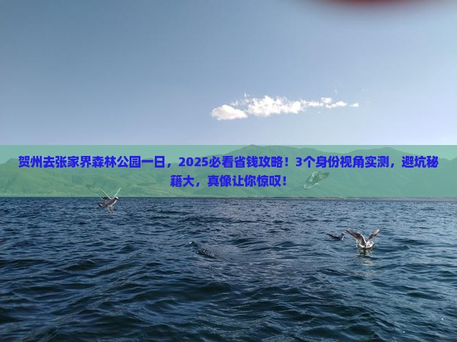 贺州去张家界森林公园一日