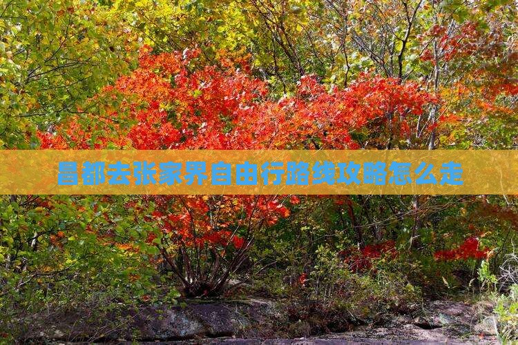昌都去张家界自由行
