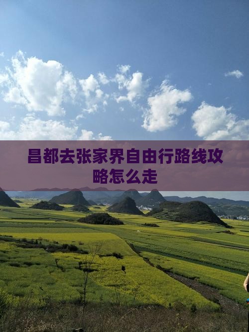 昌都去张家界自由行