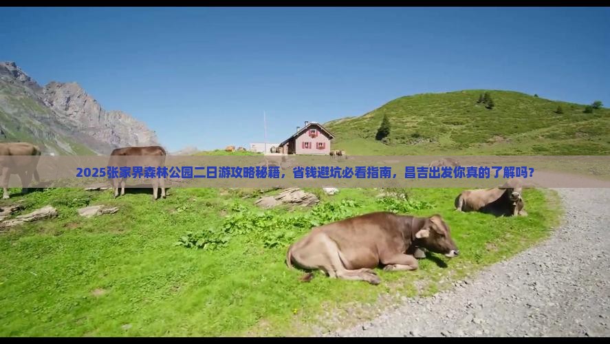 昌吉去张家界森林公园二日游