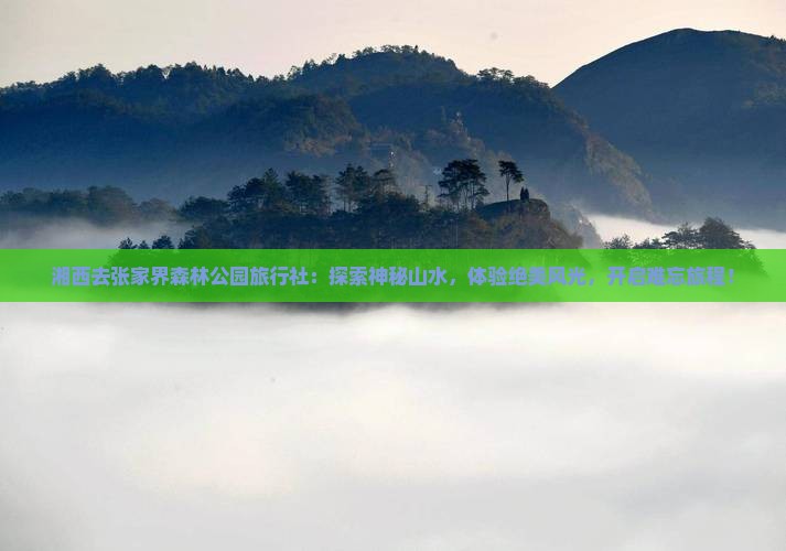 湘西去张家界森林公园旅行社