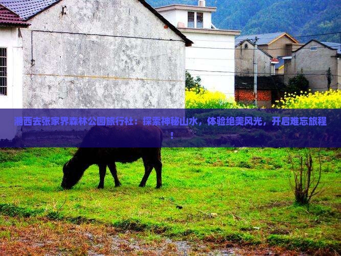 湘西去张家界森林公园旅行社