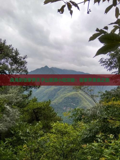 珠海到张家界天子山旅游小吃