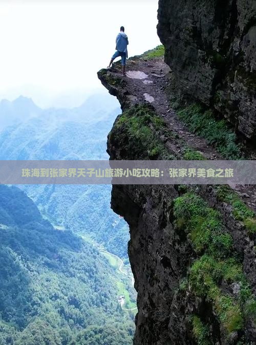 珠海到张家界天子山旅游小吃