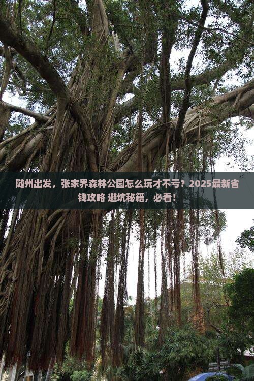 随州去张家界森林公园攻略