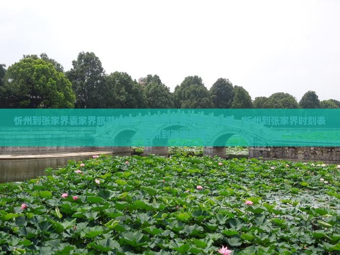忻州到张家界袁家界旅游