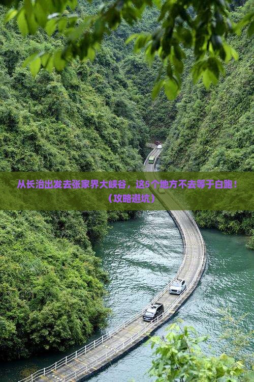 长治去张家界大峡谷必去地