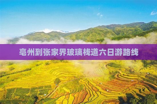亳州到张家界玻璃栈道六日游