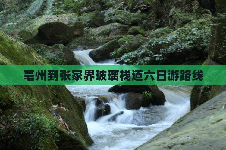 亳州到张家界玻璃栈道六日游