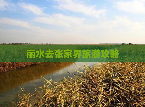 丽水去张家界旅游
