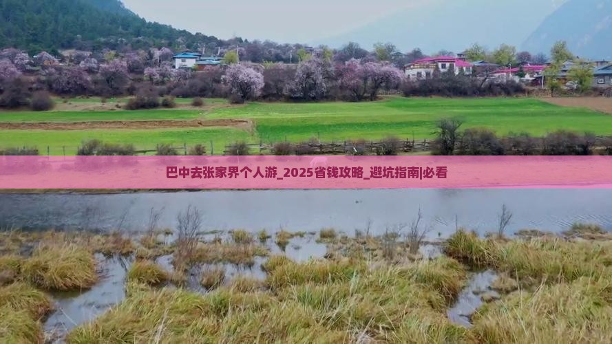 巴中去张家界个人游
