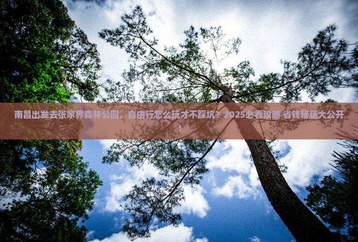 南昌去张家界森林公园自由行