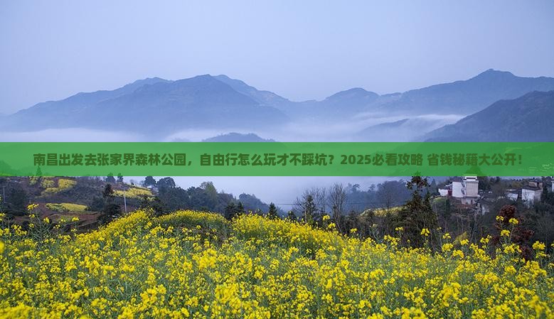 南昌去张家界森林公园自由行