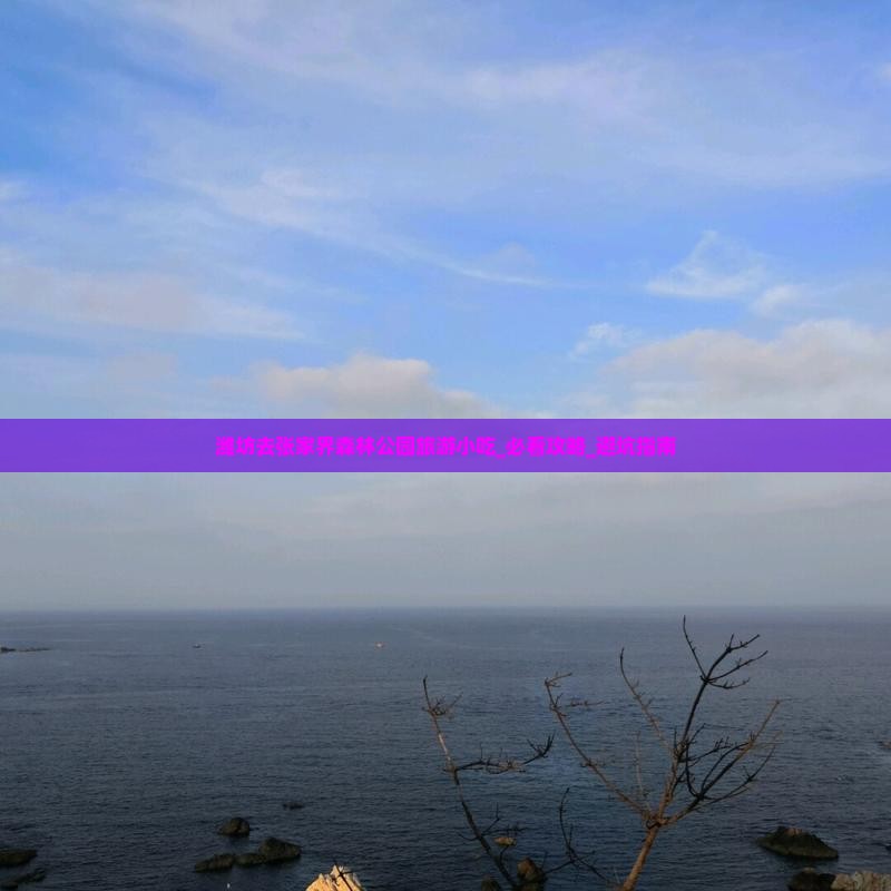 潍坊去张家界森林公园旅游小吃