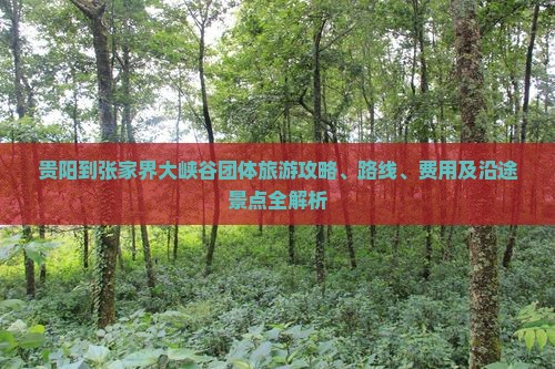 贵阳到张家界大峡谷团体旅游