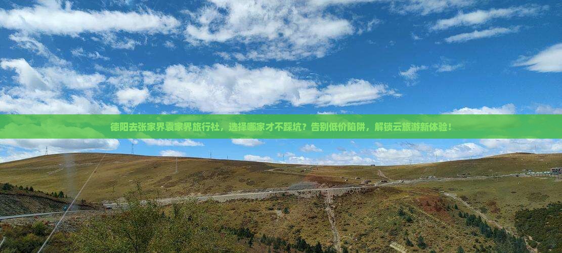 德阳去张家界袁家界旅行社
