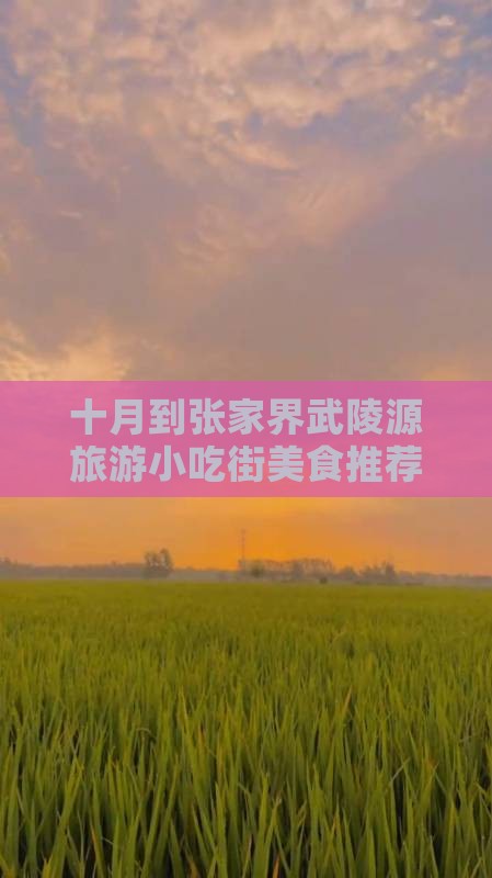 十月到张家界武陵源旅游小吃