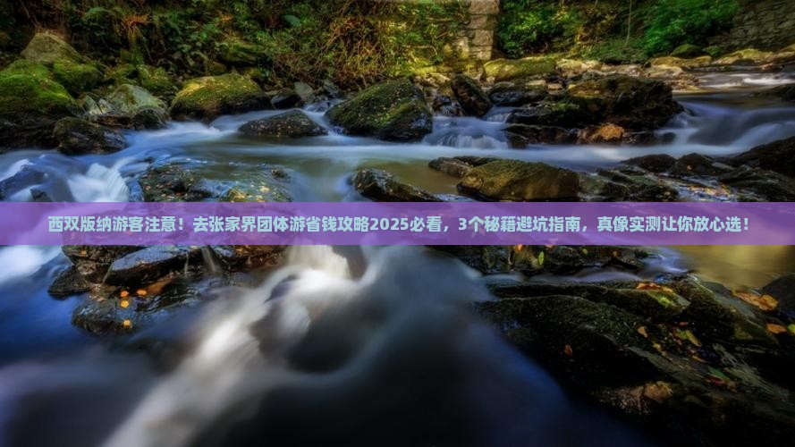 西双版纳去张家界团体旅游