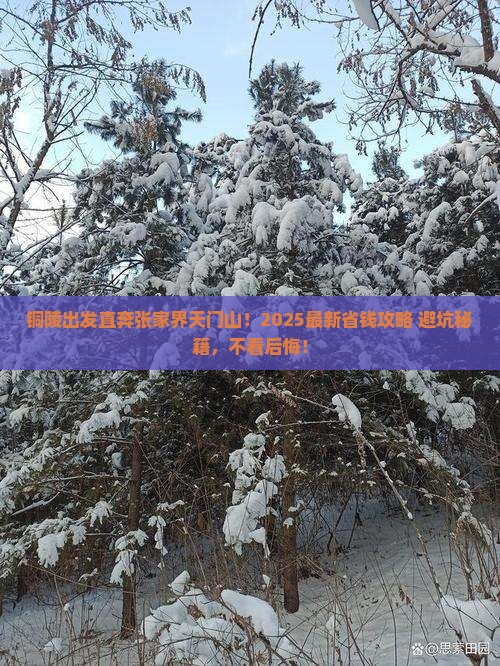 铜陵去张家界天门山旅行社