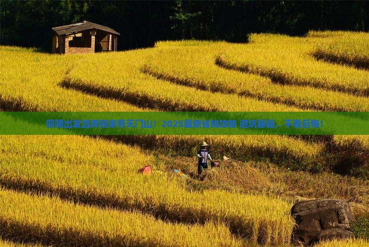 铜陵去张家界天门山旅行社