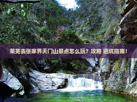 莱芜去张家界天门山景点