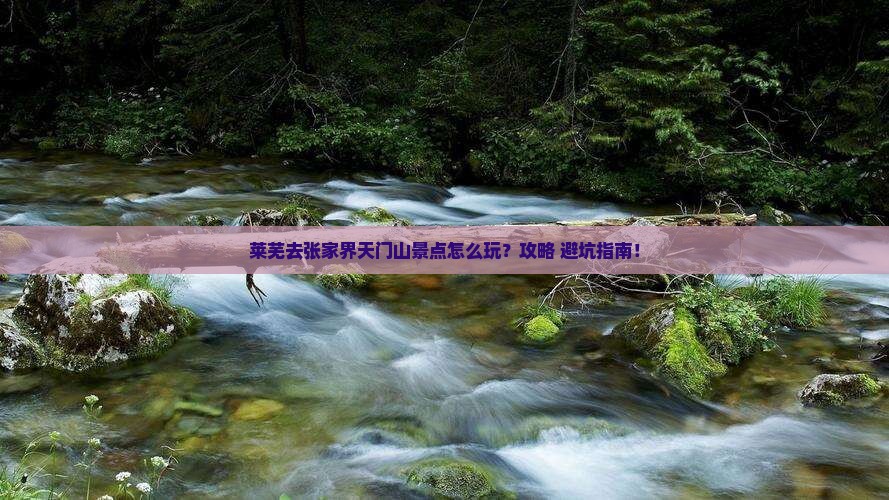 莱芜去张家界天门山景点