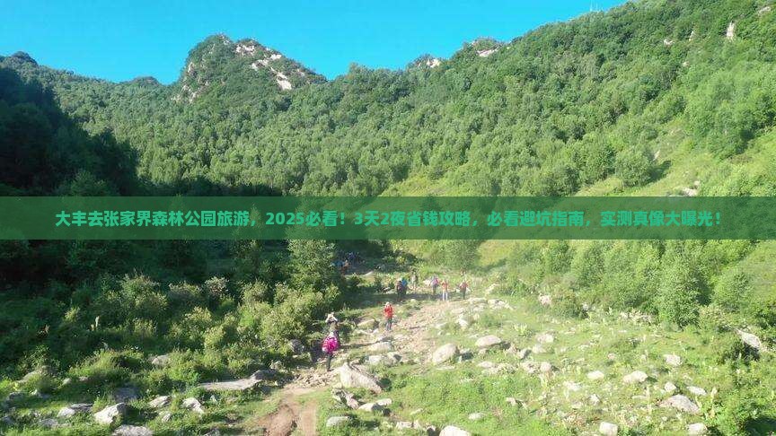 大丰去张家界森林公园旅游