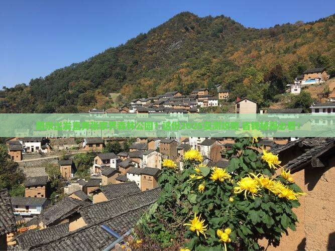 阳泉去张家界森林公园旅行社