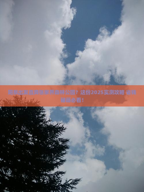 阳泉去张家界森林公园旅行社