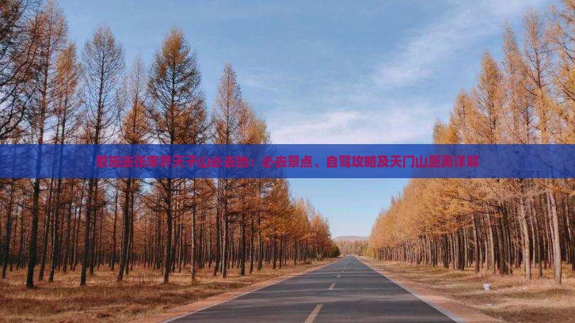 恩施去张家界天子山必去地