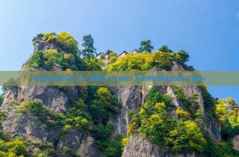 吴忠到张家界团体旅游