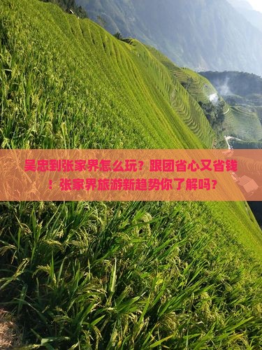 吴忠到张家界团体旅游