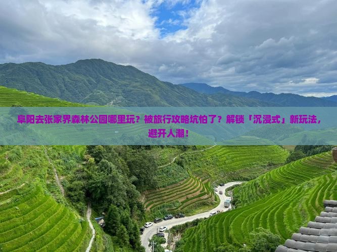阜阳去张家界森林公园哪里玩