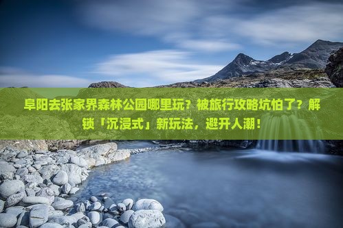 阜阳去张家界森林公园哪里玩