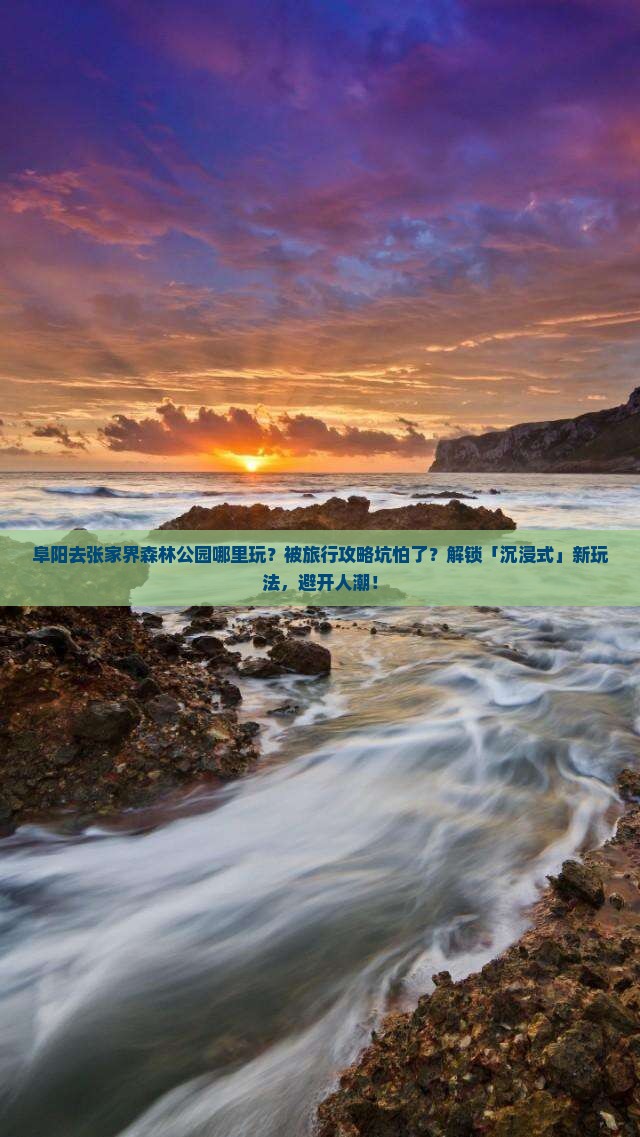 阜阳去张家界森林公园哪里玩