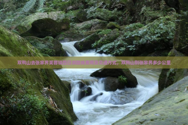 双鸭山去张家界芙蓉镇四日游