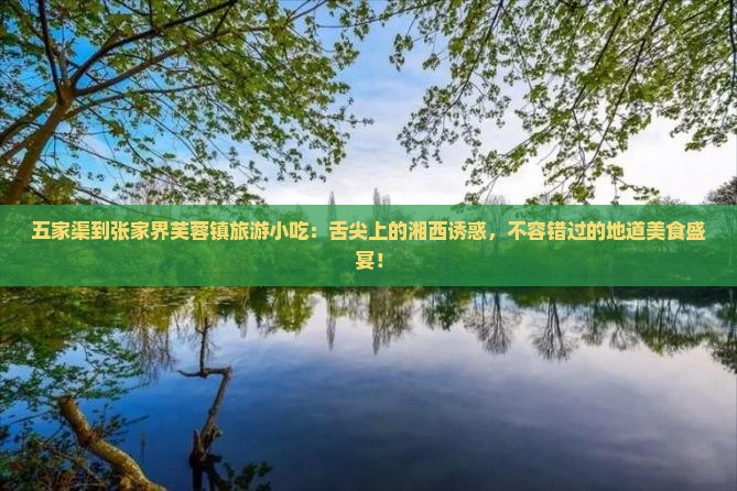 五家渠到张家界芙蓉镇旅游小吃