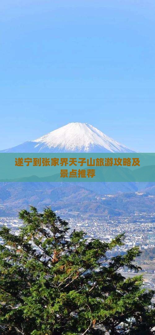 遂宁到张家界天子山哪里玩