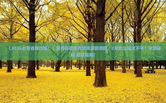 黑河去张家界武陵源大型旅游团