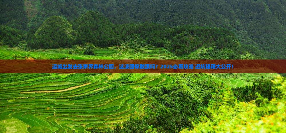 运城去张家界森林公园大型旅游团