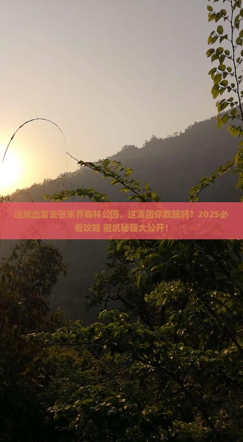 运城去张家界森林公园大型旅游团