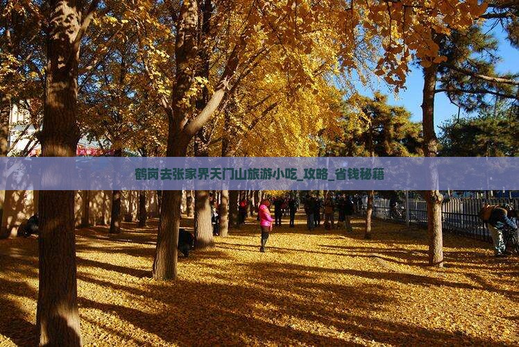 鹤岗去张家界天门山旅游小吃