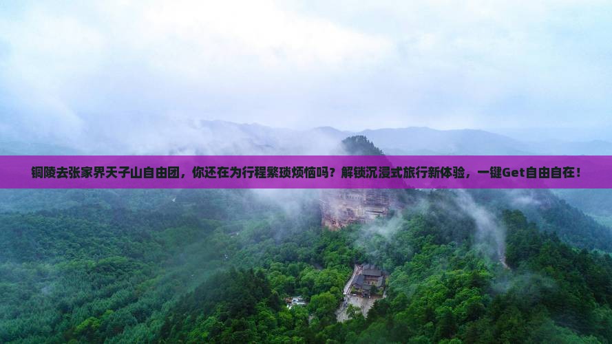 铜陵去张家界天子山自由团