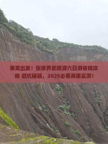 莱芜去张家界武陵源六日游