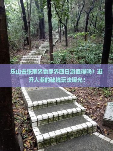 乐山去张家界袁家界四日游