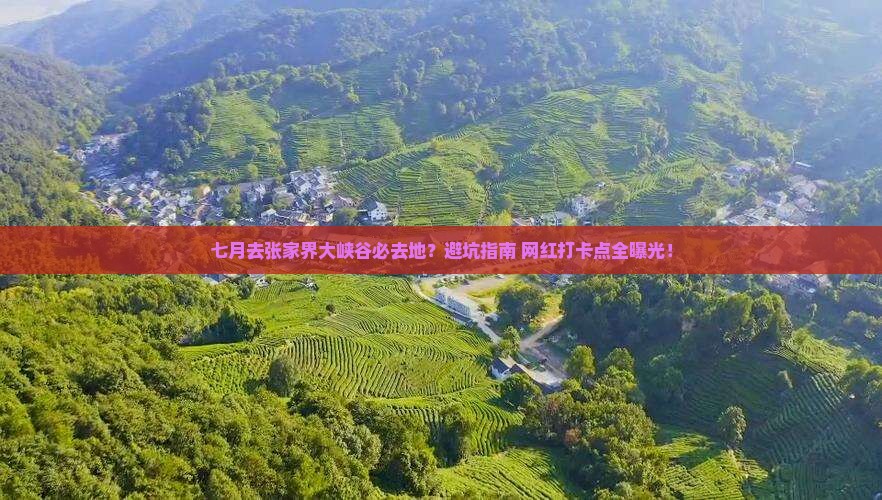 七月去张家界大峡谷必去地