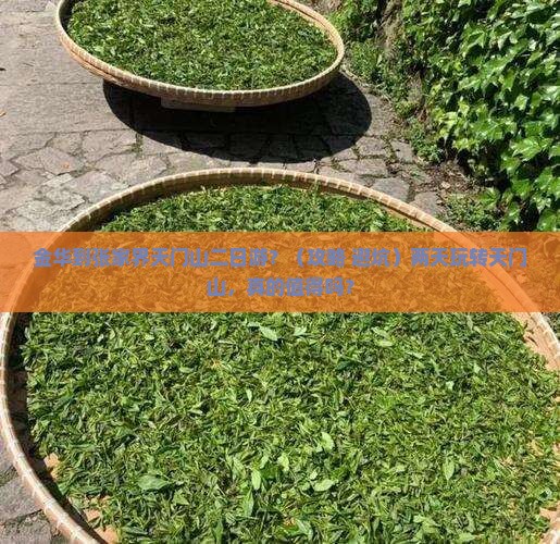 金华到张家界天门山二日游