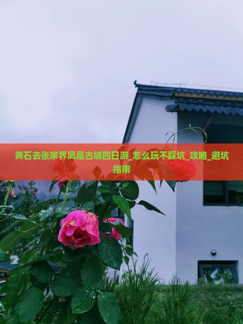 黄石去张家界凤凰古城四日游