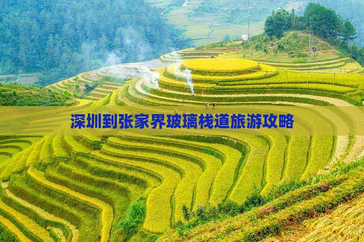 深圳到张家界玻璃栈道旅游